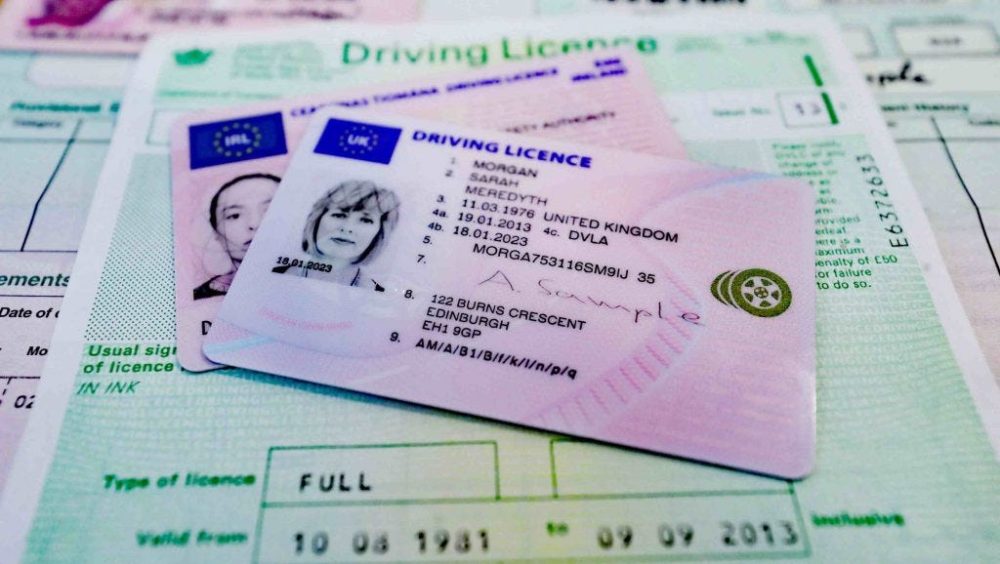 Buy Drivers License